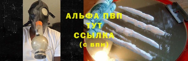 стафф Арсеньев