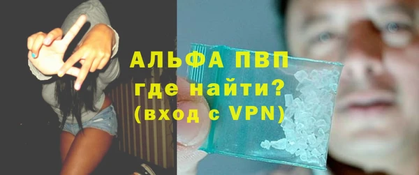 стафф Арсеньев