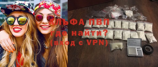стафф Арсеньев