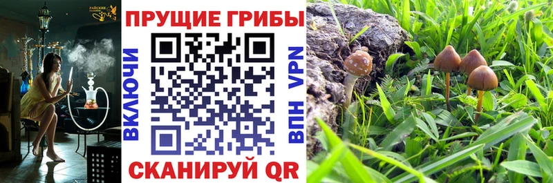 shop состав  Крым  Галлюциногенные грибы ЛСД 